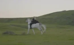 Klip Çekiminde Korkutan Kaza Aleyna Kalaycıoğlu Attan Düştü