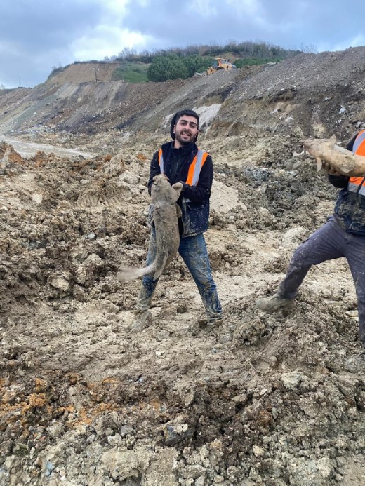 Arnavutköy Mavi Göl Balık Ölümü