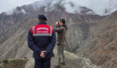 Artvin’de Yaban Hayatı Mercek Altında: Kaçak Avcılara Geçit Yok