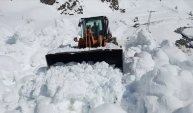 Artvin Ardanuç’ta çığ alarmı: Zekeriya köyünden endişelendiren ihbar