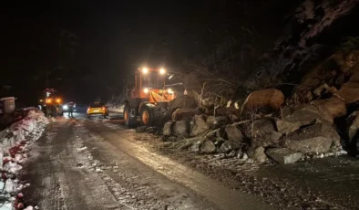 Artvin’de karayolunda heyelan paniği