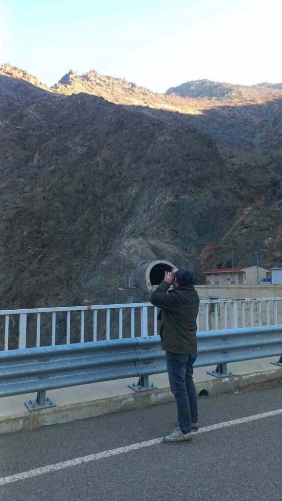 Artvin yaban hayatı