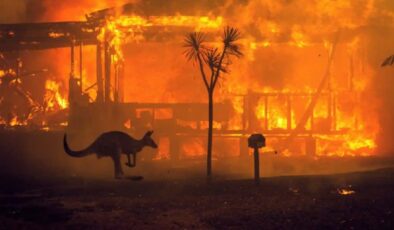 Avustralya Yeni Güney Galler’de Felaket: Yangınlar 16 Evi Yok Etti