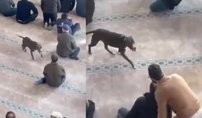 Camiye Giren Pitbull Panik Yarattı: Sahibi Hakkında İşlem Başlatıldı