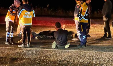 Diyarbakır’da Feci Kaza: Batman-Diyarbakır yolunda can pazarı