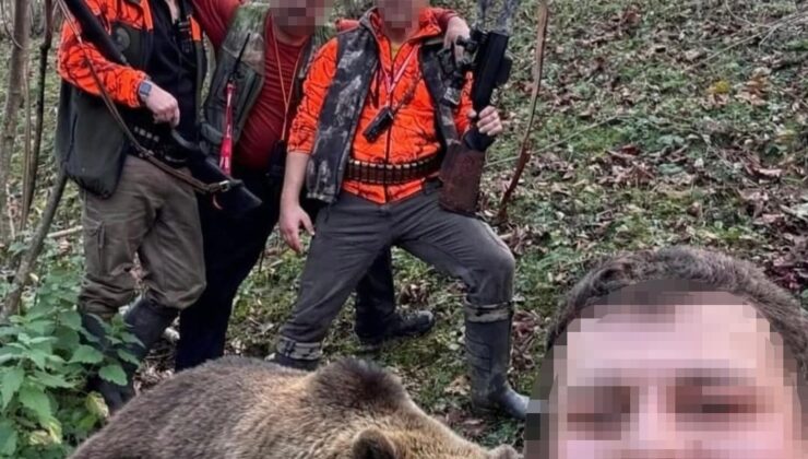 Doğu Karadeniz’de Artan Ayı Sorunu ve İlk Av: Can ve Mal Güvenliği İçin Sürek Avı Başladı