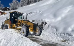 Doğu Karadeniz’de kar yağışı ulaşımı olumsuz etkiledi