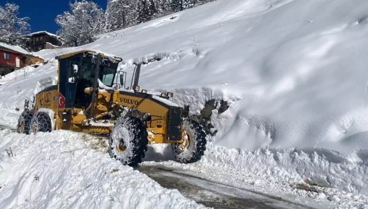 Doğu Karadeniz’de kar yağışı ulaşımı olumsuz etkiledi