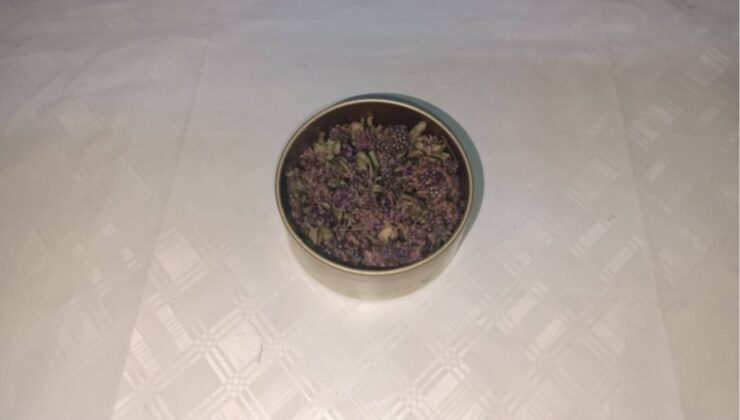 Artvin’de Endemik Yayla Çayı Çiçeği Kaçakçılığına Jandarma Darbesi