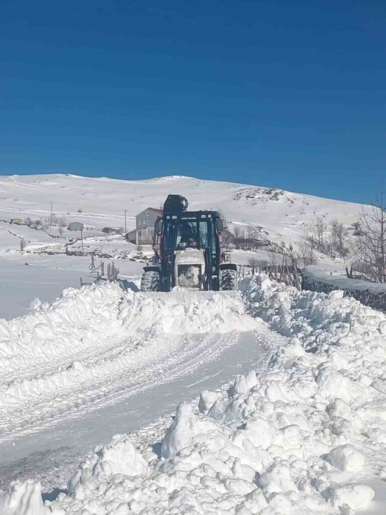 Giresun Yayla Yolları Kar Mücadelesi