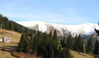 Giresun’un Doğa Harikası Gölyanı Yaylası: Kesin Korunacak Alan İlan Edildi