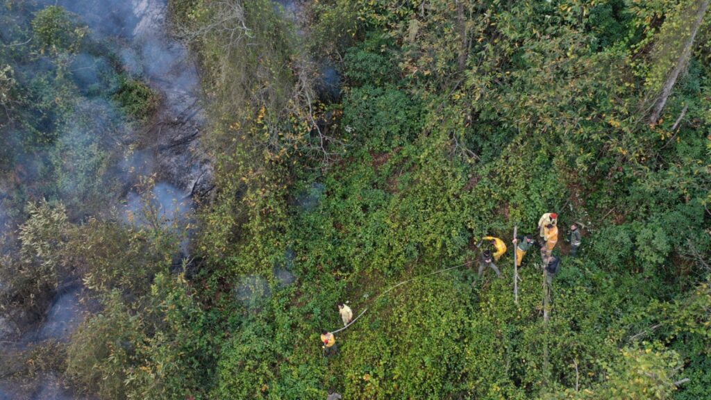 Hopa Orman Yangını Söndürüldü