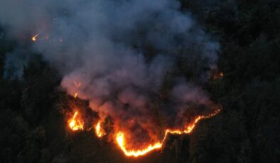 Artvin Hopa’daki Büyük Orman Yangını Söndürüldü: 5 Hektar Kül Oldu