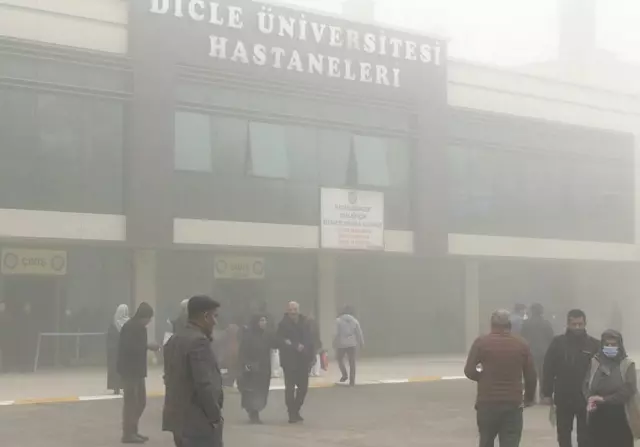 İnfluenza salgını Diyarbakır