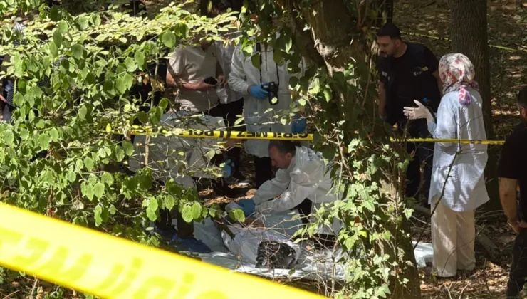 İstanbul Sarıyer’de Çözülen Gizem: 19 Yıllık Cinayet Dosyası Yeniden Açıldı