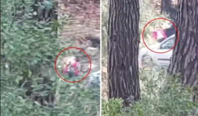 İzmir Buca’da ormanlık alanda kadın darp edildi, imdat çığlıkları kameraya yansıdı
