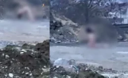 Köprü Altında Şaşkınlık Yaratan Görüntüler: Polis Müdahale Etti