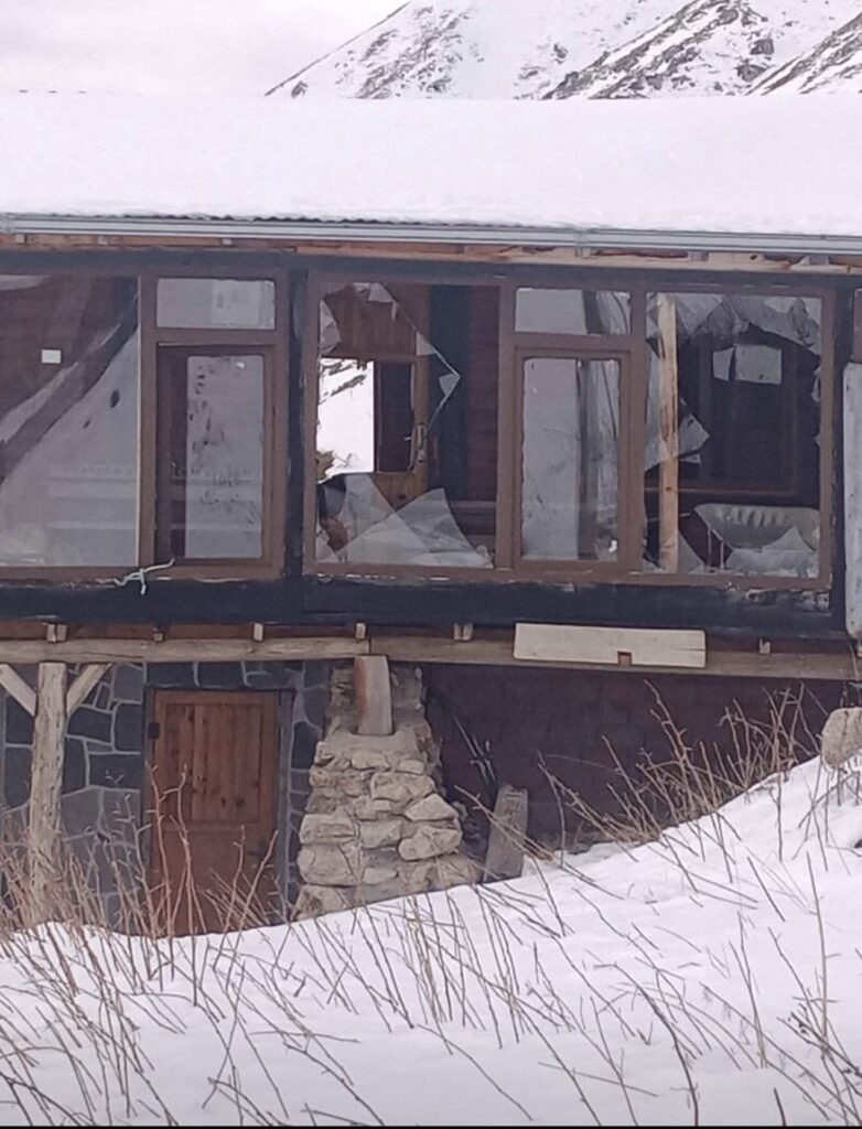 Karadeniz ayı saldırıları