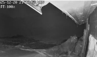 Karadeniz’de Ayı İstilası: Kış Uykusu Yerine Yayla Evlerine Saldırıyorlar