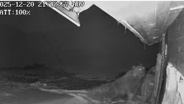 Karadeniz’de Ayı İstilası: Kış Uykusu Yerine Yayla Evlerine Saldırıyorlar