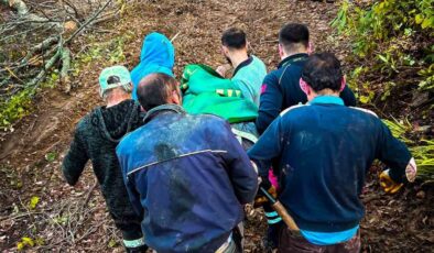 Kastamonu Cide’de ağaç keserken yaralanan işçi sedyeyle ormandan çıkarıldı