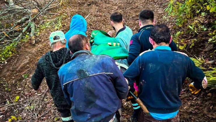 Kastamonu Cide’de ağaç keserken yaralanan işçi sedyeyle ormandan çıkarıldı