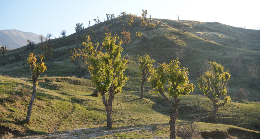 Kış Kapıda Ama Doğa Şaşırtıyor