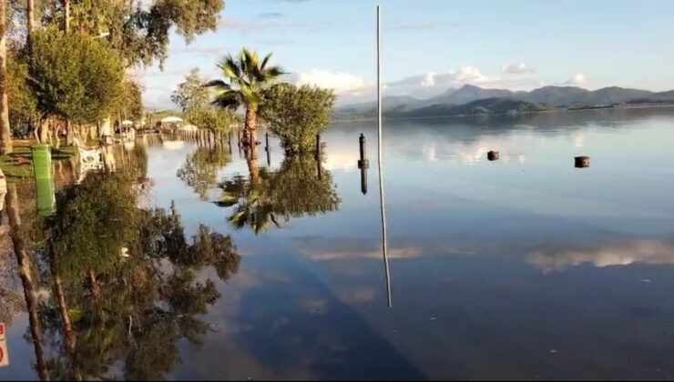 Muğla Köyceğiz Gölü Taştı: Nam Nam Çayı Debisi Yükseldi, Plajlar Su Altında