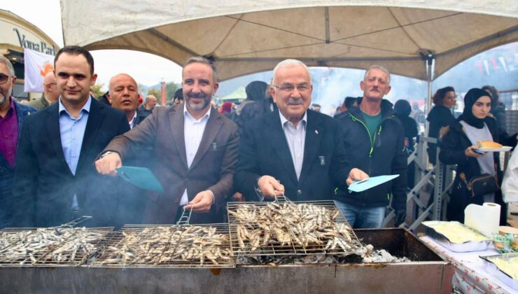 Ordu Perşembe’de 6. Hamsi Festivali Coşkusu: Tonlarca Hamsi İkram Edildi