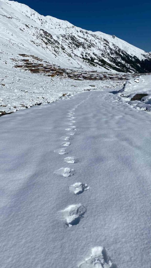 Rize Kar Yağışı Yaylalar Anzer