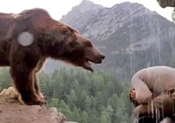 Rize Çayeli’nde ayı sürek avı başlatıldı: Halk sağlığı için önlem alındı