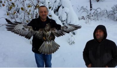 Atmacanın avladığı kargayı vatandaşlar kurtardı