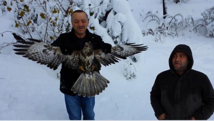 Atmacanın avladığı kargayı vatandaşlar kurtardı