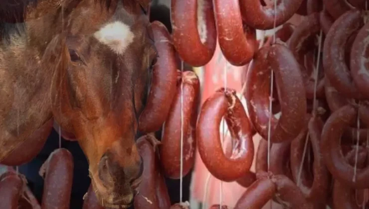 Vatandaşa at eti yedirmişler! Bakanlık markayı ve üretim yerini ifşa etti