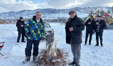 Akıncılar Kış Festivali’nde Kardan Kangal Köpeği Birinci Oldu