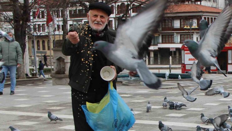 Amasya’nın “Yemci Dede”si 20 Yıldır Güvercinleri Besliyor