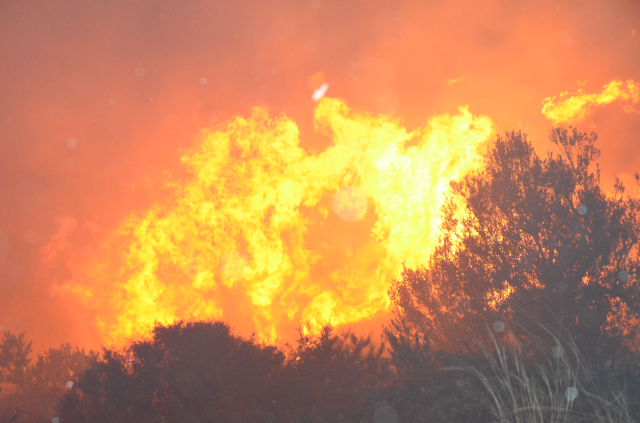 Antalya orman yangını