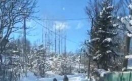 Ayı ve yavruları güpegündüz köy yolunda ortaya çıktı: O anlar kamerada