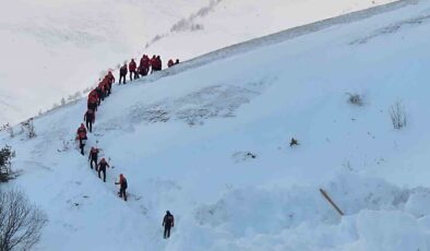 Artvin’de çığ faciasında kayıp çoban için arama çalışmaları yeniden başladı