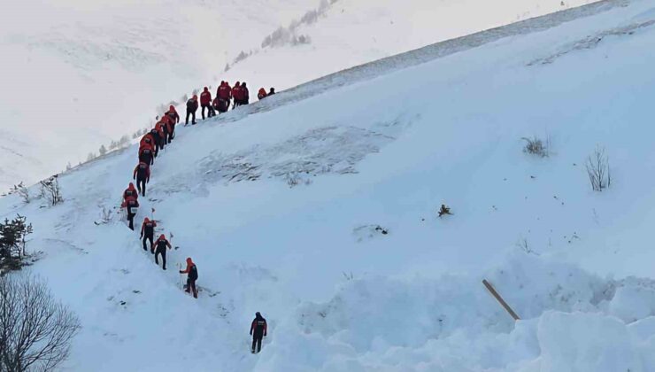 Artvin’de çığ faciasında kayıp çoban için arama çalışmaları yeniden başladı