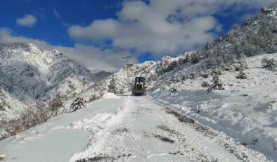 Artvin’de Kar Yağışı Ulaşımı Vurdu: Çok Sayıda Köy Yolu Kapandı