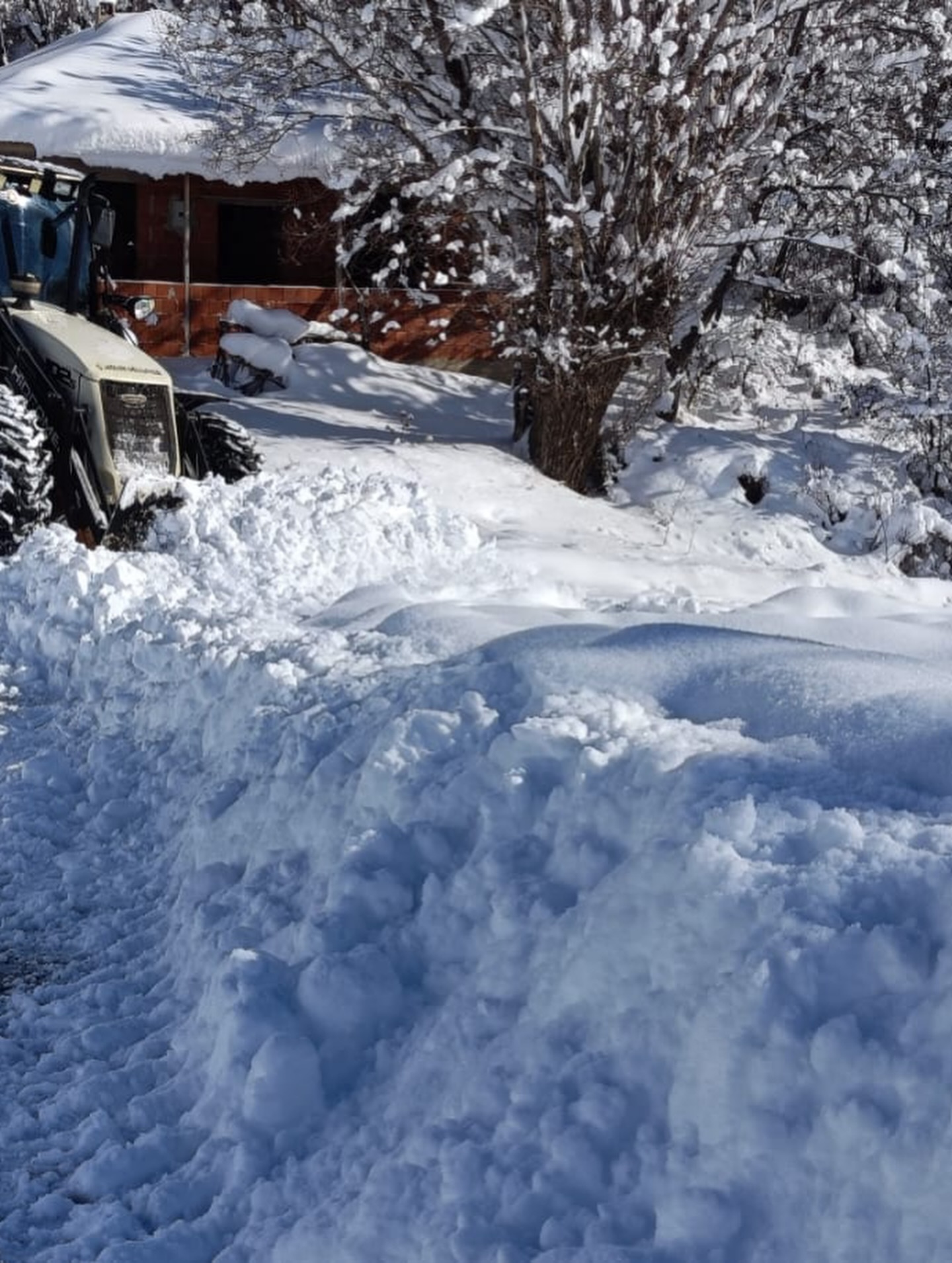 Camoluk karla mücadele