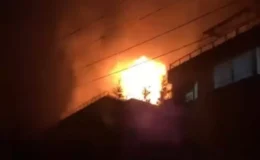 Çınarcık’ta terasta yakılan mangal yangına neden oldu