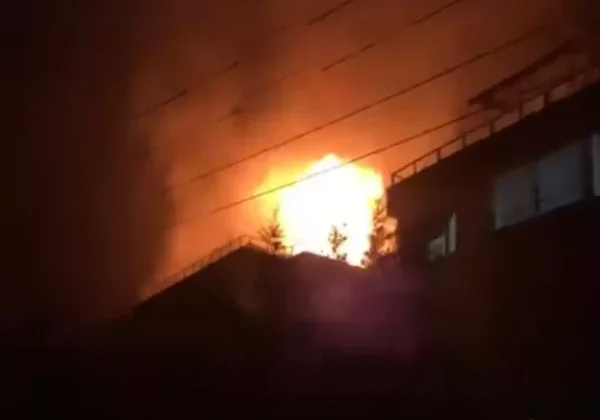 Çınarcık’ta terasta yakılan mangal yangına neden oldu