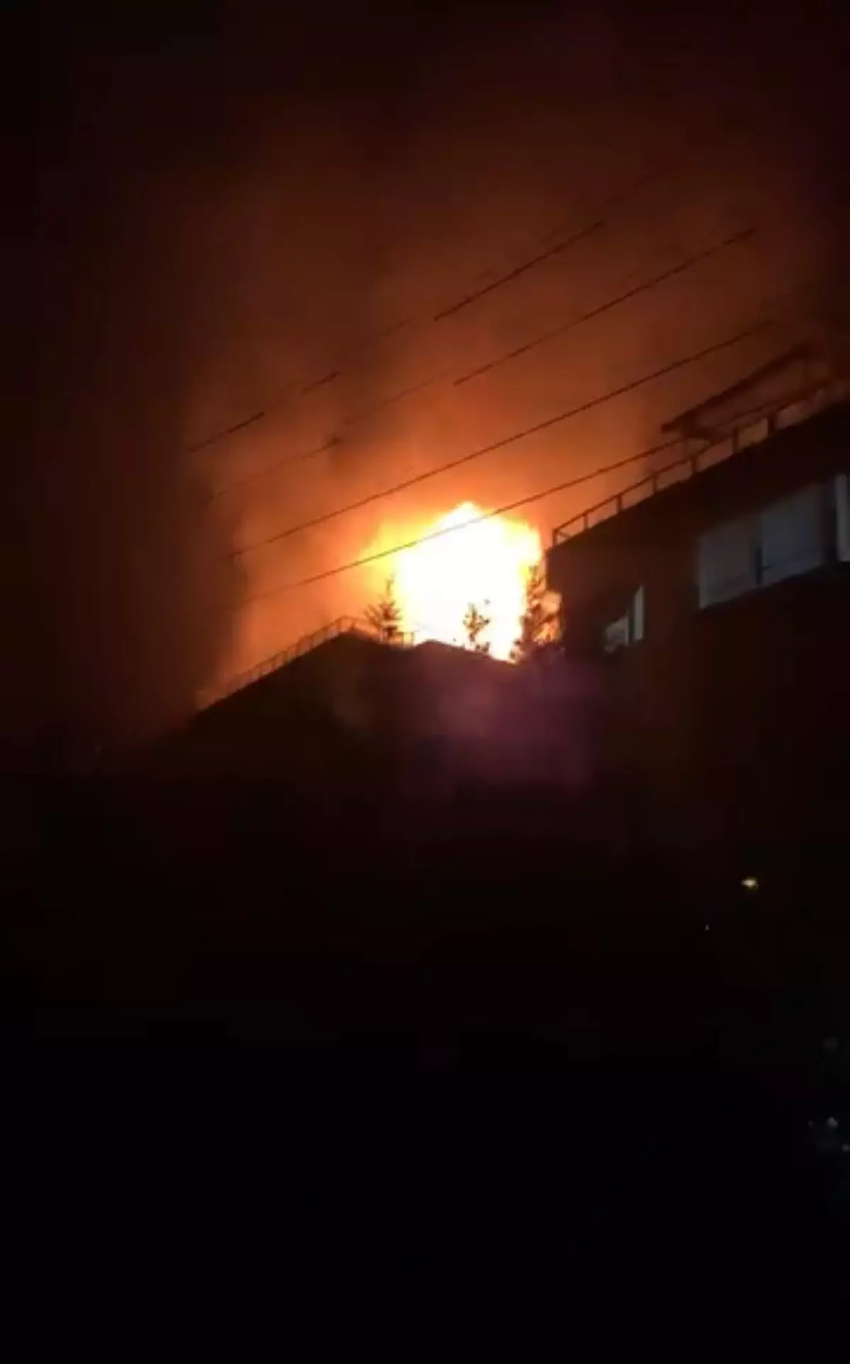 Çınarcık mangal yangını