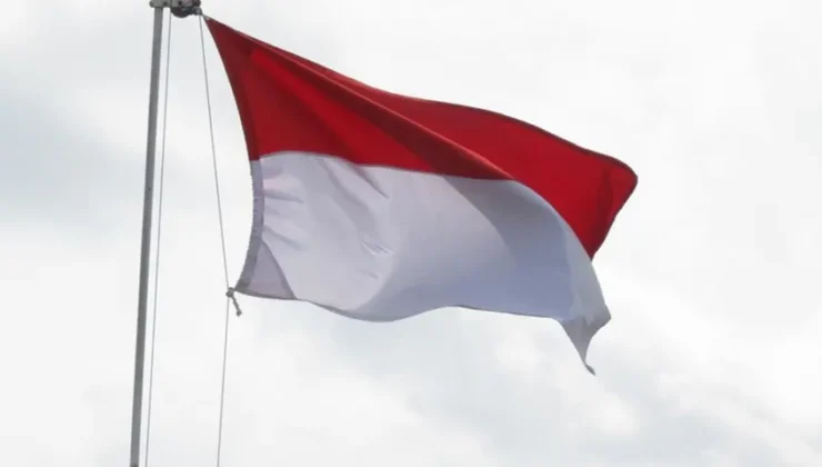 Endonezya’dan Yapay Zeka Kararı: Grok’a Geçici Erişim Engeli