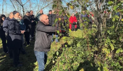 Giresun’da Fındık Tarımına Yönelik Eğitimler Sürüyor