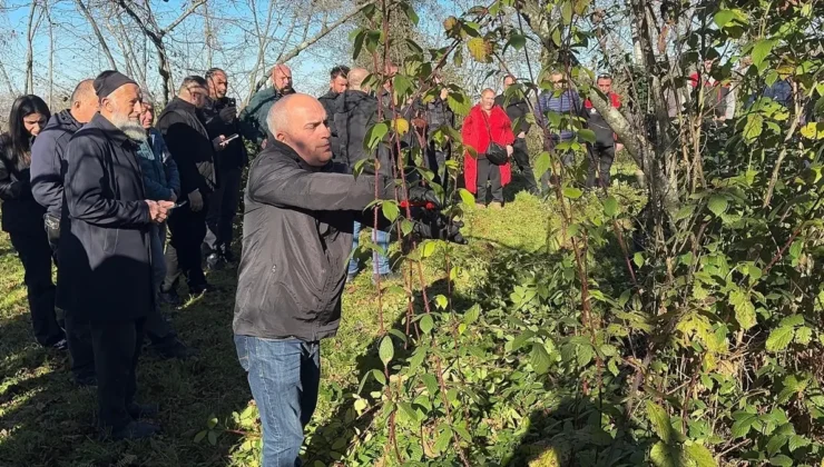 Giresun’da Fındık Tarımına Yönelik Eğitimler Sürüyor