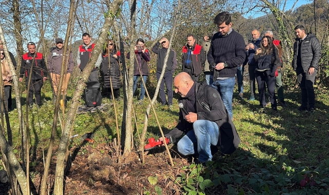 Giresun fındık eğitimi