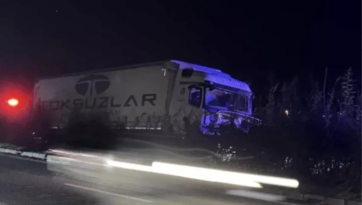 Giresun’da tır aydınlatma direğine çarptı: Sürücü hayatını kaybetti